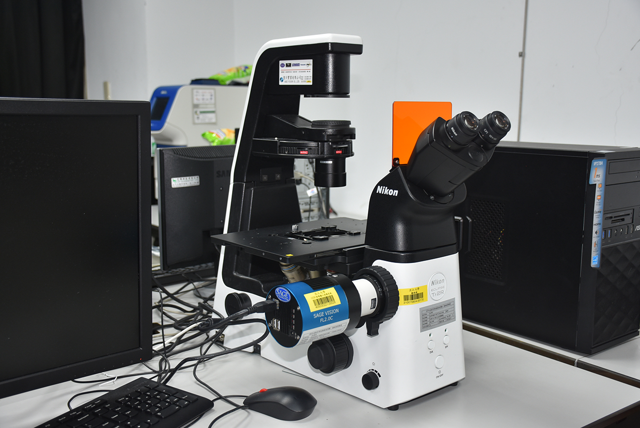 Inverted optical microscope